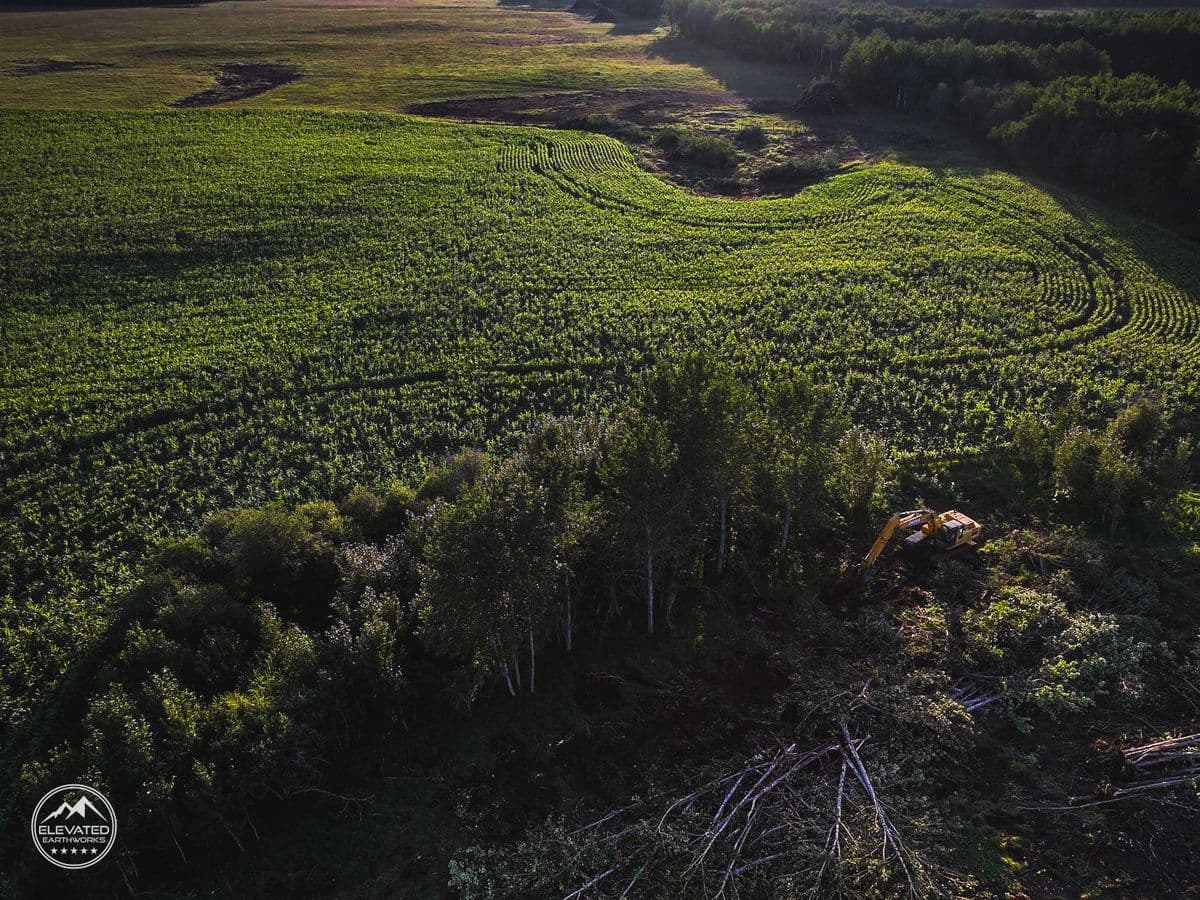 Land clearing project 4