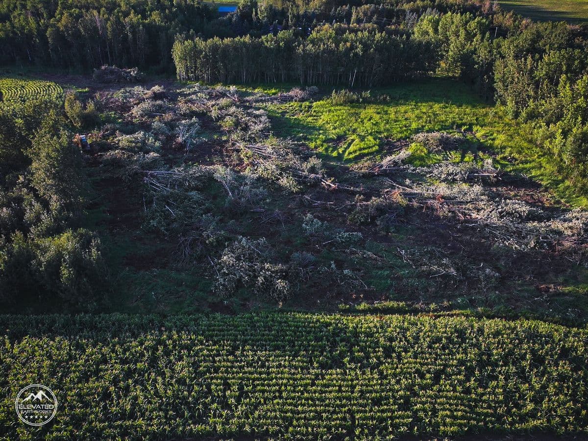 Land clearing project 5