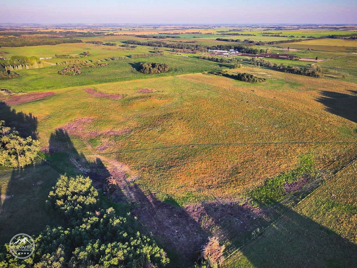 Land Clearing and Site Preparation